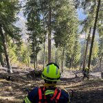 2025-03-09 WaldbrandNK