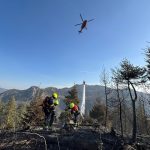 2025-03-09 WaldbrandNK