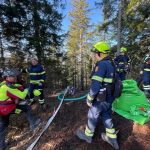 2025-03-09 WaldbrandNK