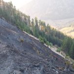 2025-03-09 WaldbrandNK