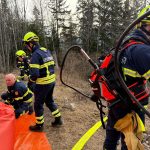 2025-03-09 WaldbrandNK