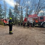 2025-03-09 WaldbrandNK