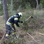 2025-04-05 Bezirksmodul Waldbrand Grundlagen
