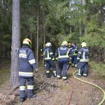 2025-04-05 Bezirksmodul Waldbrand Grundlagen