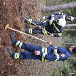 2025-04-05 Bezirksmodul Waldbrand Grundlagen