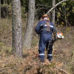 2025-04-05 Bezirksmodul Waldbrand Grundlagen