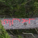 2025-04-05 Bezirksmodul Waldbrand Grundlagen