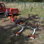 2025-04-05 Bezirksmodul Waldbrand Grundlagen