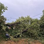 2025-06-26 Unwetter