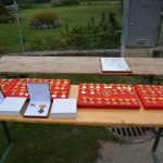 Abschnittstag & 125 Jahrfeier