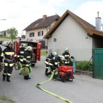 APLE_Gold_FF_Heufurth_2016