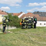 APLE_Gold_FF_Heufurth_2016