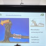 Arbeiten mit der Motorkettensäge