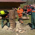 Arbeiten mit der Motorkettensäge