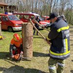 Arbeiten mit der Motorkettensäge