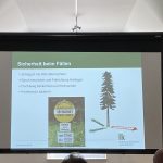 Arbeiten mit der Motorkettensäge