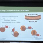 Arbeiten mit der Motorkettensäge