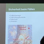 Arbeiten mit der Motorkettensäge