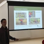 Arbeiten mit der Motorkettensäge