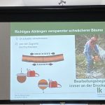 Arbeiten mit der Motorkettensäge