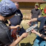 Arbeiten mit der Motorkettensäge