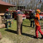 Arbeiten mit der Motorkettensäge