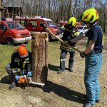 Arbeiten mit der Motorkettensäge