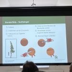 Arbeiten mit der Motorkettensäge