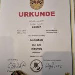 Atemschutzausbildungsprüfung in Gold und Silber