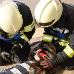 Ausbildungsprüfung Technische Hilfeleistung