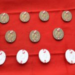 Ausbildungsprüfung technischer Einsatz in Großmeiseldorf