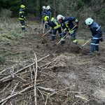 Bezirksmodul Waldbrand