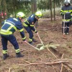 Bezirksmodul Waldbrand