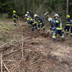 Bezirksmodul Waldbrand