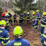 Bezirksmodul Waldbrand