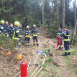 Bezirksmodul Waldbrand