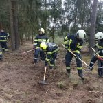 Bezirksmodul Waldbrand
