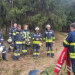 Bezirksmodul Waldbrand