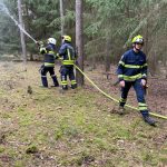 Bezirksmodul Waldbrand