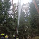 Bezirksmodul Waldbrand