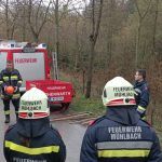 Bezirksmodul Waldbrand