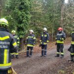 Bezirksmodul Waldbrand