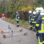 Bezirksmodul Waldbrand