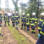 Bezirksmodul Waldbrand