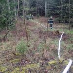 Bezirksmodul Waldbrand