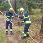Bezirksmodul Waldbrand