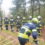 Bezirksmodul Waldbrand