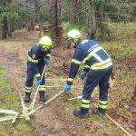 Bezirksmodul Waldbrand