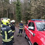 Bezirksmodul Waldbrand