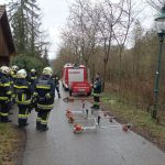 Bezirksmodul Waldbrand